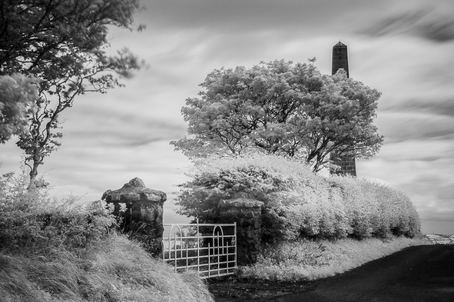 Knockagh Monument - 4736