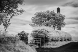 Knockagh Monument - 4736