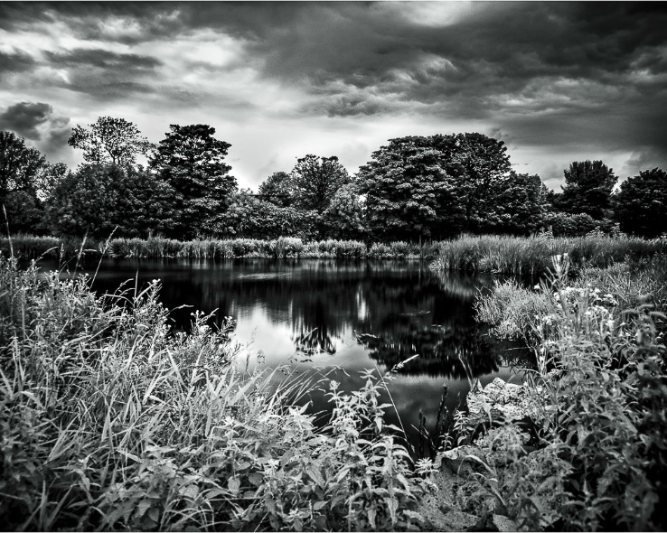 Duck Pond, Carrickfergus (Infrared) - 3275