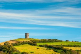 Portaferry Castle - 2041