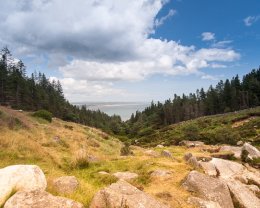 View from Donard River - 1573