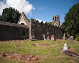 Malahide Castle Grounds - 1134