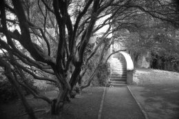 Malahide Castle Grounds - 1140