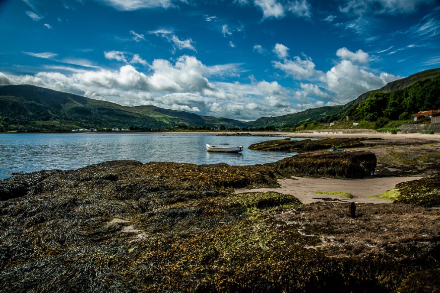 Waterfoot - 8286