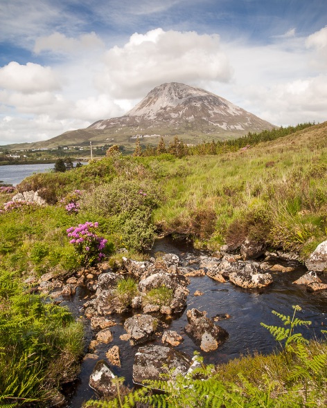 Mount Errigal - 5019