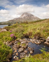 Mount Errigal - 5019