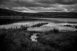 Rathlin - 2229