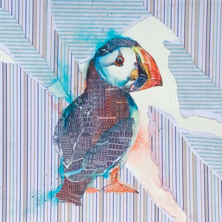 Puffin