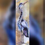 Kennet heron
