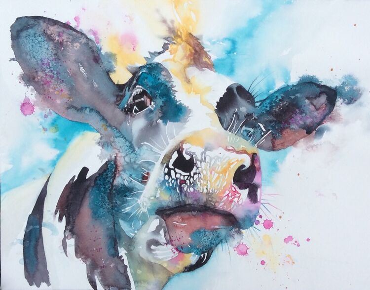 Curious cow