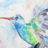 Humming bird