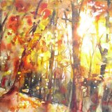 Autumn woods