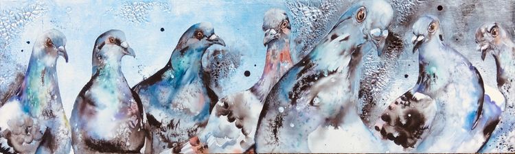 Pigeons in the park