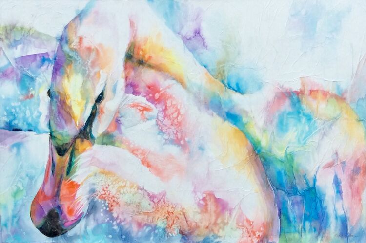 Rainbow swan