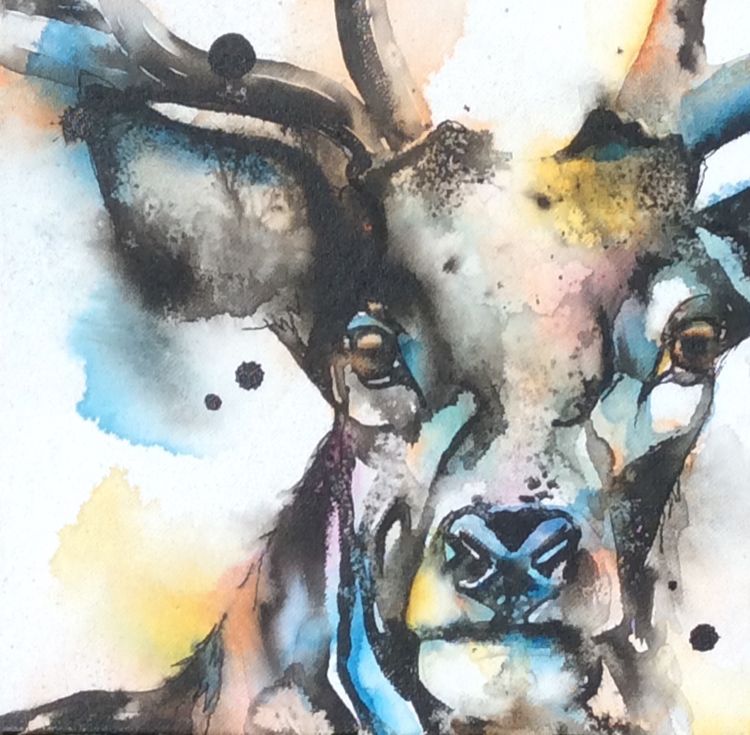 Stag