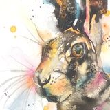 Hare