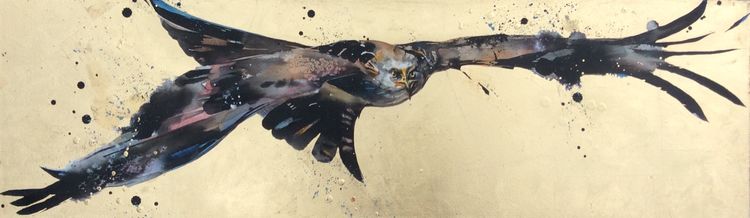 Red kite