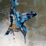 Kingfisher