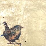 Wren