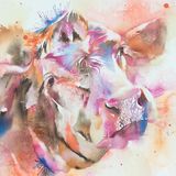 Thoughtful cow