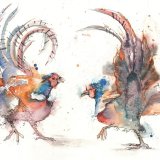 Flying feathers