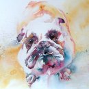 Bulldog