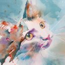 Cat's eyes