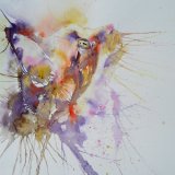 Feline explosion!