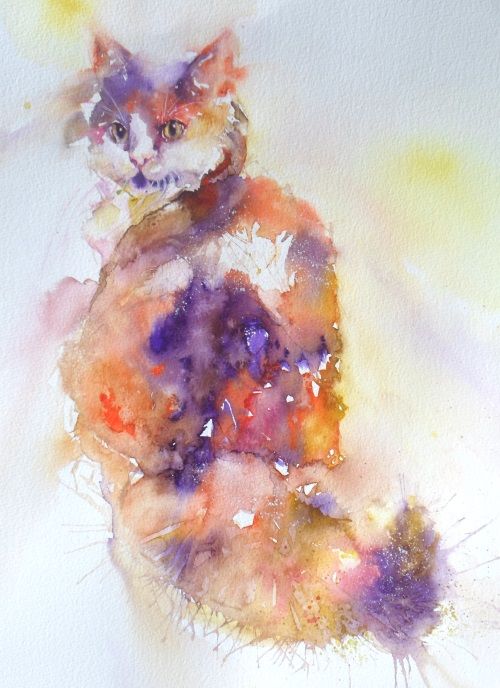 Long haired cat
