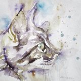 Italian puss