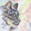 The panther within