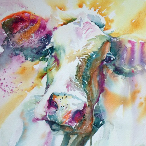 The cow with the zebra ear