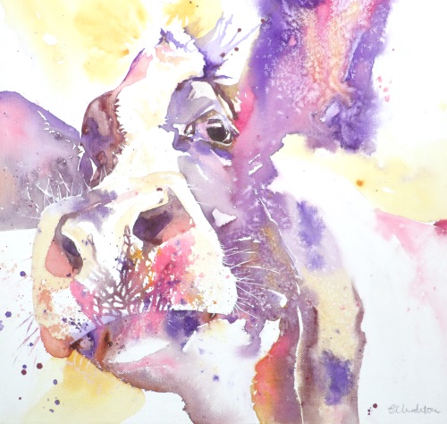 Purple cow