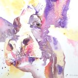 Purple cow