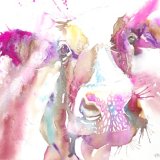 Pink cow
