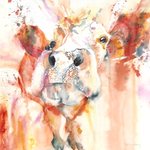 Hot cow