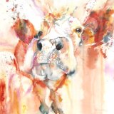 Hot cow