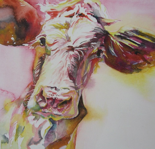 Cow