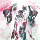 Dalmatian