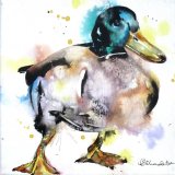 Mallard