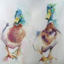 Duck duo