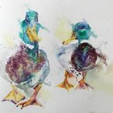 Get your ducks in a row