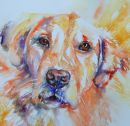 Fehmida's dog