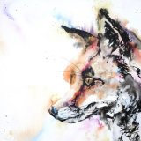 Mr Fox