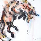 The Pounce
