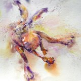 Slightly mad March hare