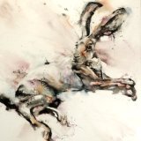 Hare encounter