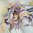 Hare