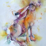 Gazing hare