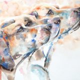 Three hounds